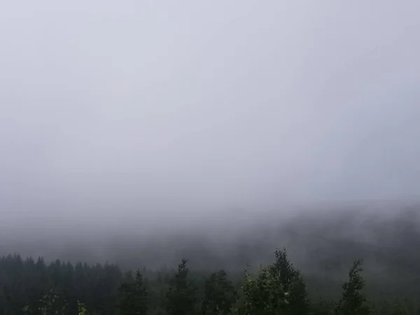 Krásný Výhled Mlhavou Scenérii — Stock fotografie