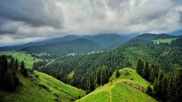 Hermoso Paisaje Las Montañas Los Carpatos — Foto de Stock