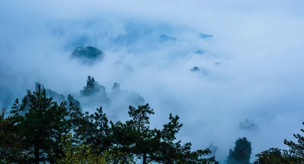 Paisagem Montanhosa Com Árvores Nuvens — Fotografia de Stock