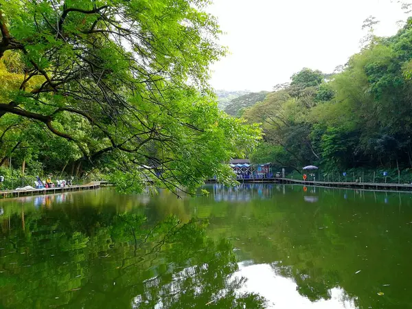 Hermoso Paisaje Del Lago — Foto de Stock