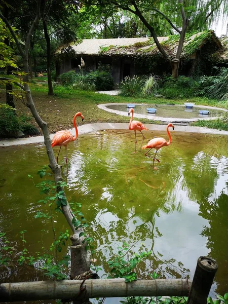 Vista Pitoresca Parque Cidade — Fotografia de Stock