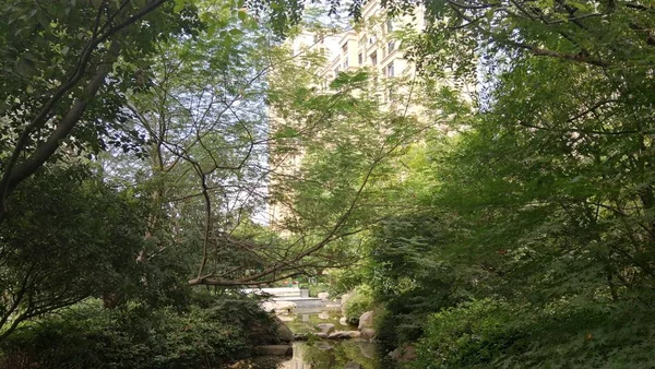 Ciudad Del Parque Verano — Foto de Stock