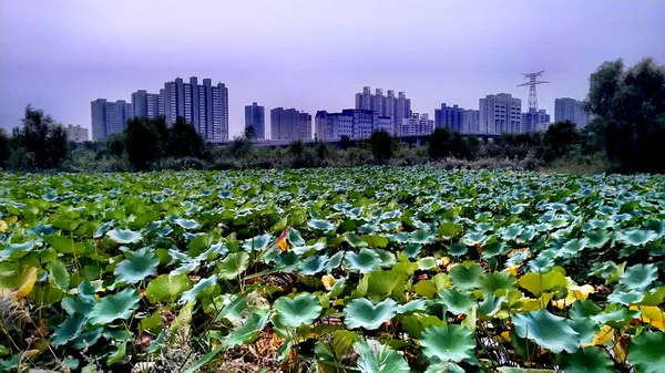 Ciudad Capital China — Foto de Stock