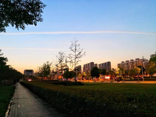 Parque Ciudad Por Noche — Foto de Stock
