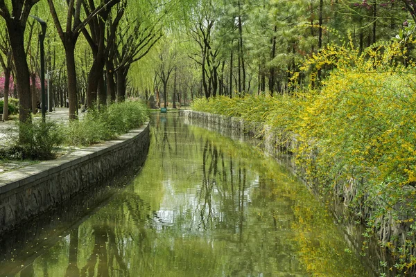 Hermoso Paisaje Con Río Parque — Foto de Stock