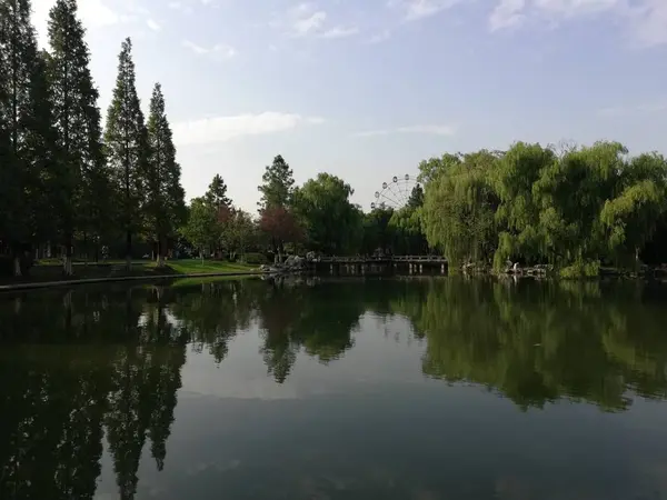 Hermosa Vista Del Lago Parque — Foto de Stock