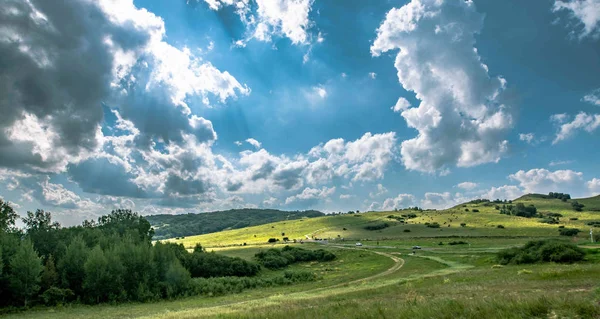 Hermoso Paisaje Con Campo Hierba Verde Cielo Azul — Foto de Stock