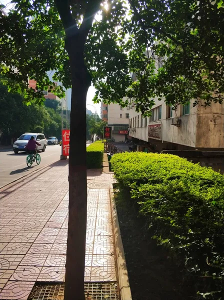 Ciudad Del Parque Verano — Foto de Stock