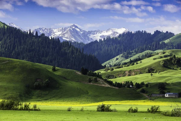 Medio Ambiente Naturaleza Montañas Paisaje —  Fotos de Stock