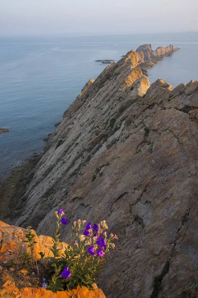 Beautiful Seascape Nature Background — Stock Photo, Image