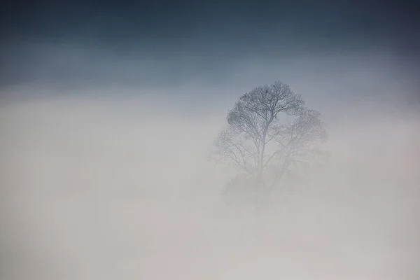 Belle Vue Sur Les Paysages Brumeux — Photo