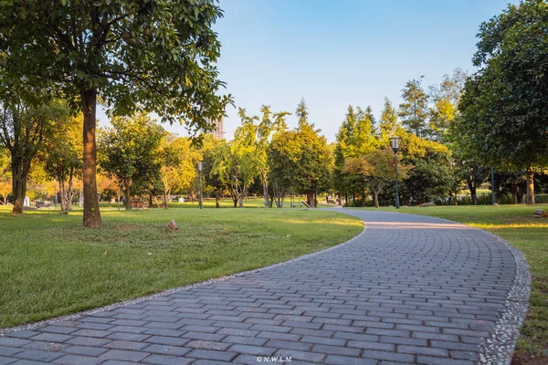 Hermoso Parque Ciudad — Foto de Stock