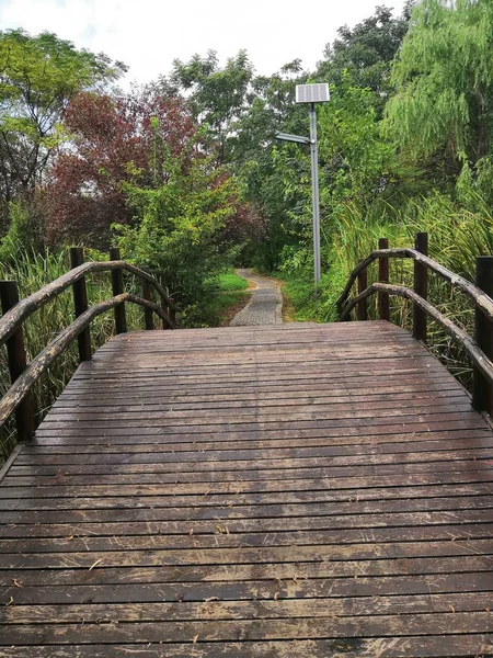 Puente Madera Parque — Foto de Stock