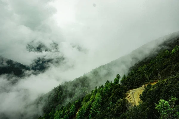카르파티아 산맥의 아름다운 — 스톡 사진
