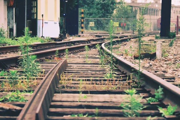 railroad tracks in the train track