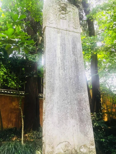 Estatua Dragón Parque — Foto de Stock