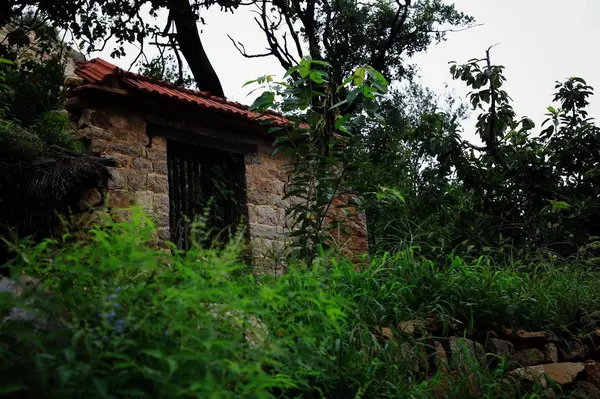 Antigua Casa Bosque — Foto de Stock