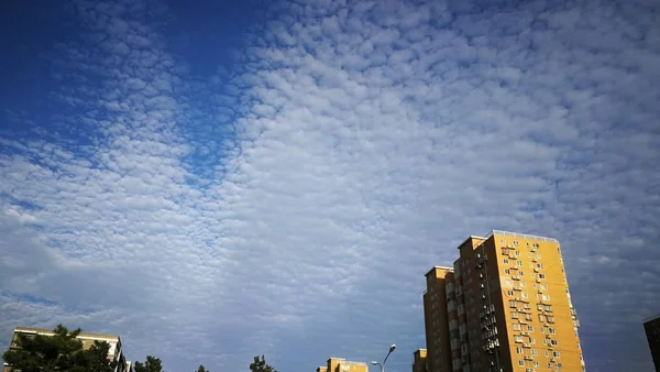 Vista Ciudad Tel Aviv Israel — Foto de Stock