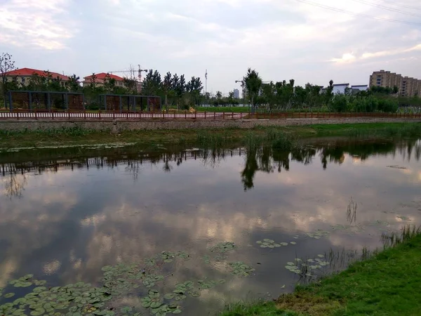 Вид Город Парка Первой Половине Дня — стоковое фото