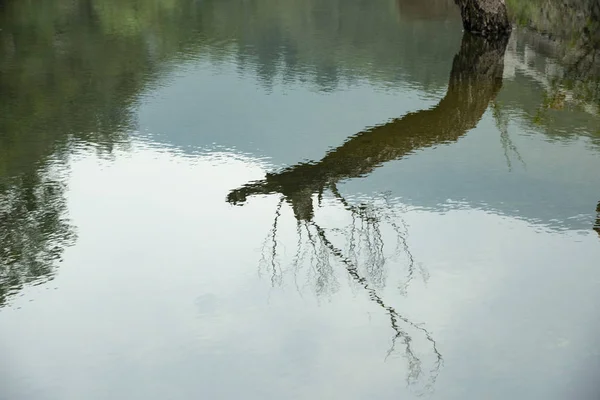 Hermoso Lago Por Mañana — Foto de Stock