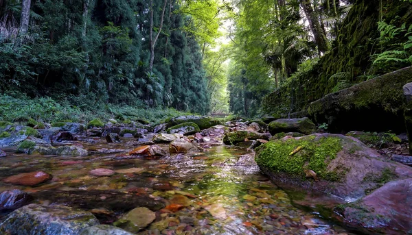 Piękny Widok Naturalne Krajobrazy — Zdjęcie stockowe