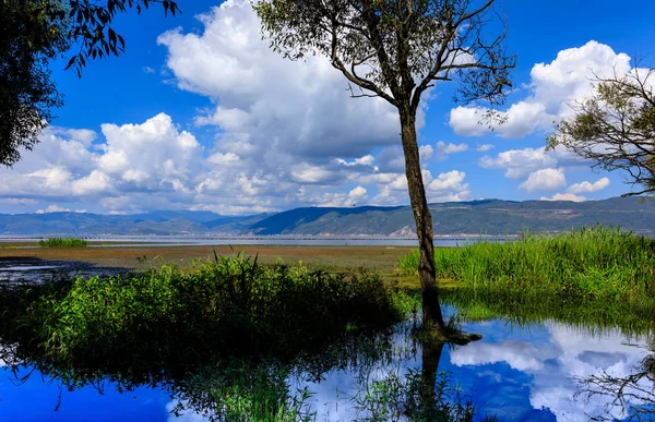 Hermoso Lago Bosque — Foto de Stock