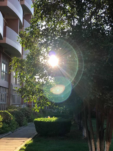 Hermoso Edificio Moderno Parque — Foto de Stock