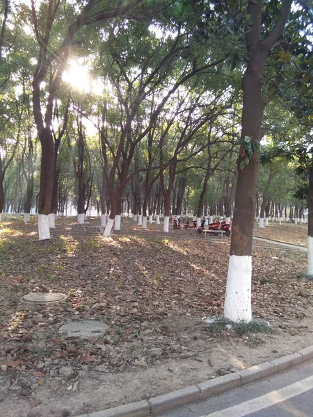 Viejo Camino Ciudad Parque — Foto de Stock