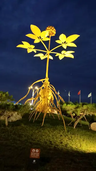 Hermosa Flor Jardín — Foto de Stock