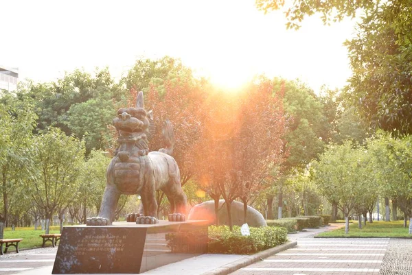 Hermosa Vista Del Parque Ciudad — Foto de Stock