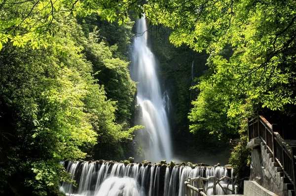 Cascada Bosque — Foto de Stock