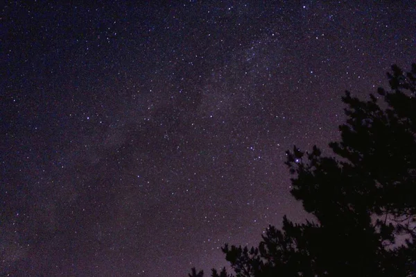 Vía Láctea Estrellas Cielo Galaxia — Foto de Stock