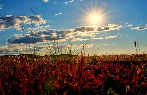 Prachtige Kleurrijke Zonsondergang Hemel — Stockfoto