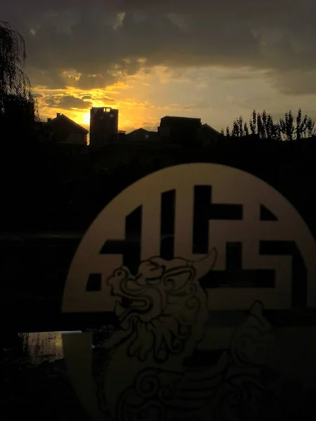 silhouette of a lion on the roof of the city