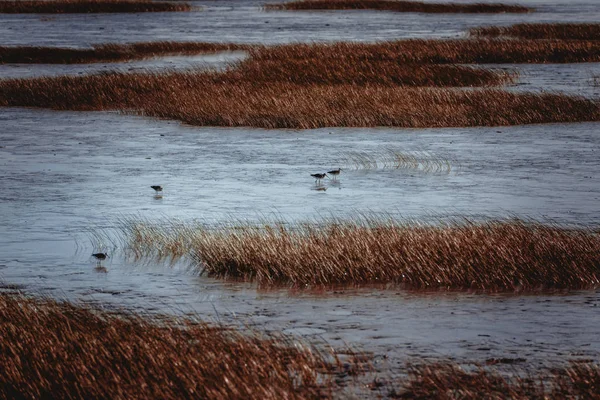 Una Gran Superficie Lago Congelado Invierno — Foto de Stock