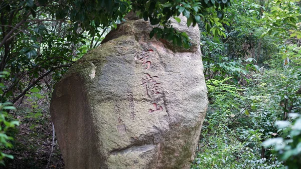 Viejo Muro Piedra Bosque — Foto de Stock