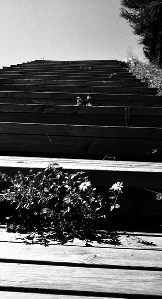 black and white photo of a boat in the sea