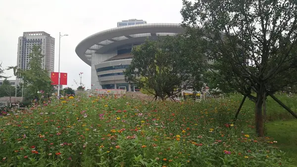 Ciudad Del Parque Verano — Foto de Stock