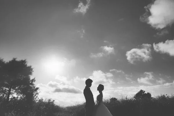 Feliz Pareja Amor Naturaleza — Foto de Stock