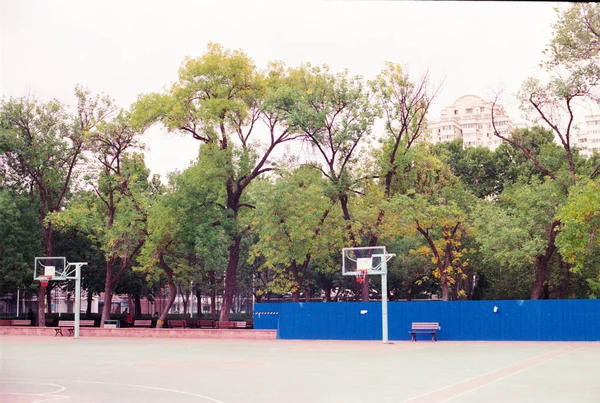 Ciudad Del Parque Los Países Bajos — Foto de Stock