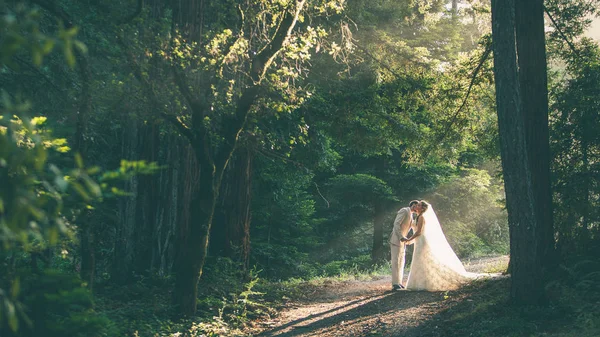 Hermosa Pareja Boda Parque — Foto de Stock