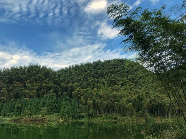 Hermoso Paisaje Con Árbol Cielo Azul — Foto de Stock