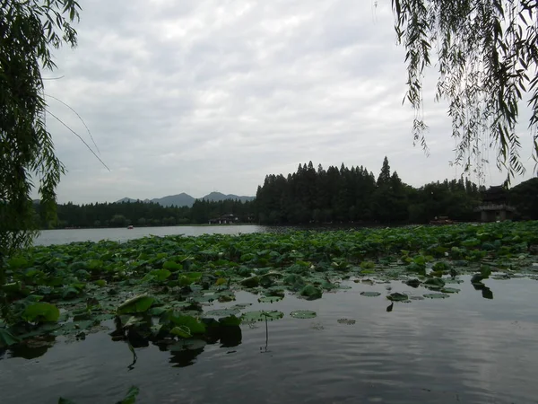 Lago Bosque — Foto de Stock