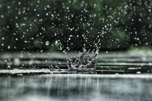 Krople Deszczu Deszczowa Pogoda — Zdjęcie stockowe