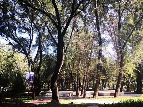 Hermoso Parque Ciudad — Foto de Stock