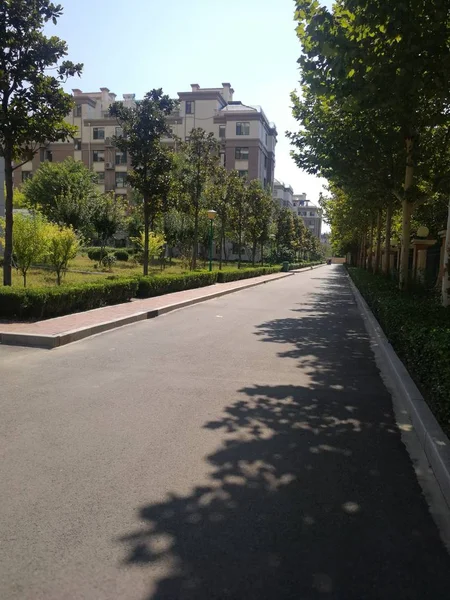 Camino Vacío Parque — Foto de Stock