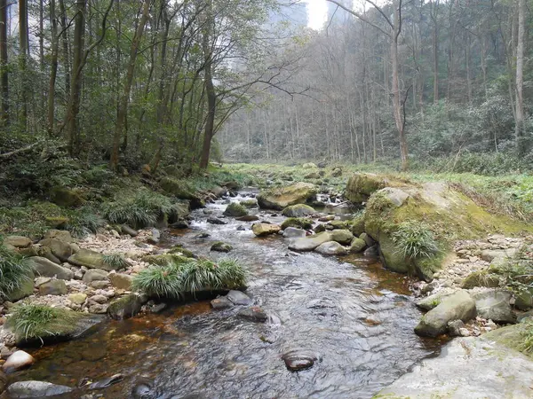 Hermoso Paisaje Fondo Naturaleza — Foto de Stock