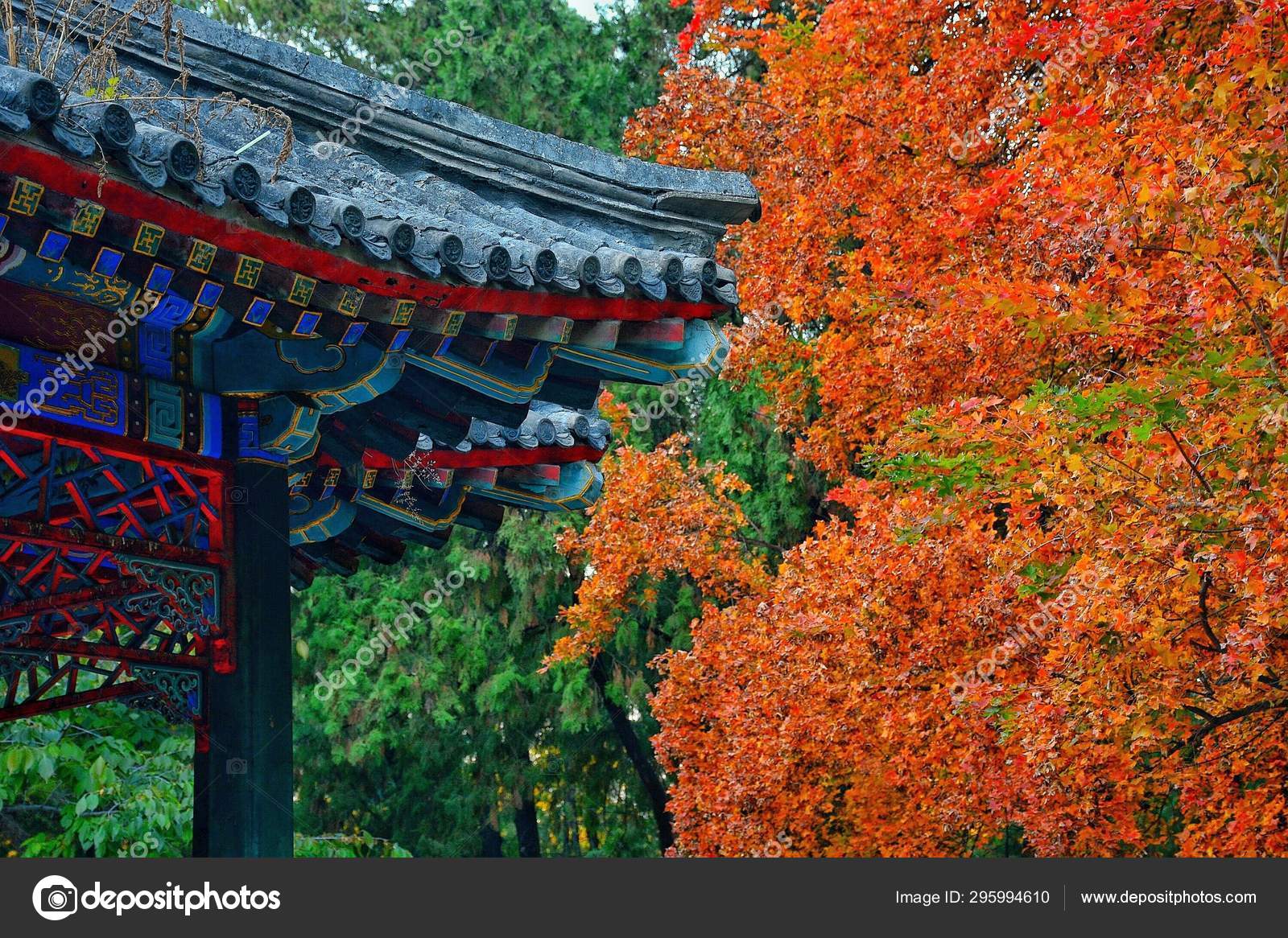 Japanese Garden Japan — Stock Photo © ImaginechinaTuchong 295994610