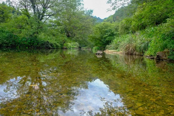 Hermoso Paisaje Con Río Bosque — Foto de Stock