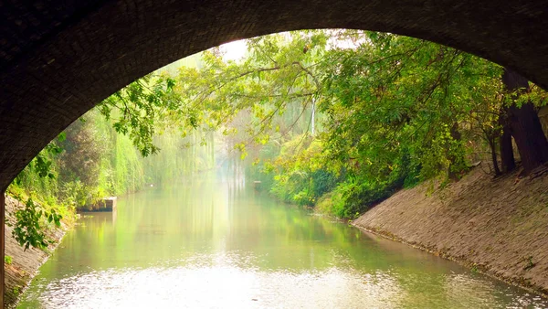 公園内に川がある美しい風景 — ストック写真